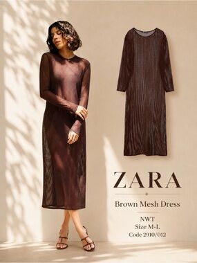 Zara Brown Mesh Long Sleeve Midi Dress Size M-L NWT